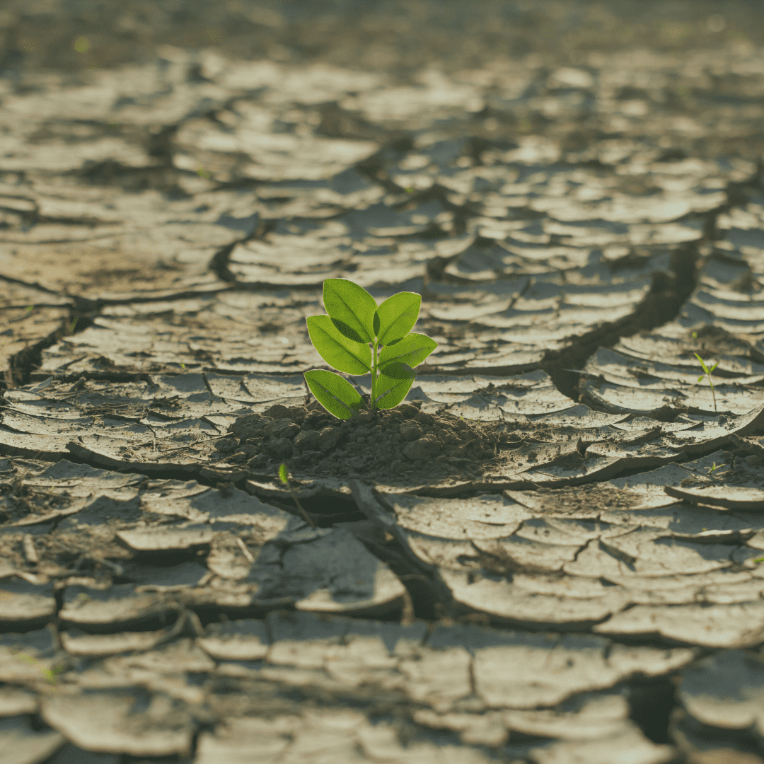 Evaluation Risk Climate Risks Climate Risk and Vulnerability Assessment Cohort | ICLEI USA