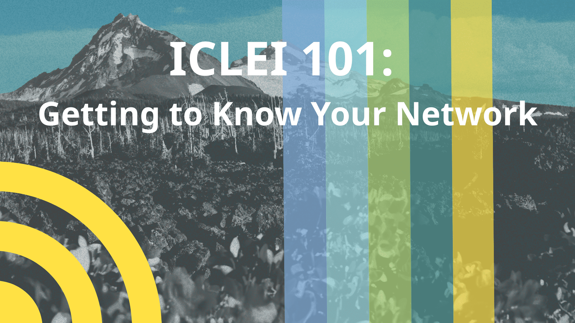 ICLEI 101: Getting to Know Your Network