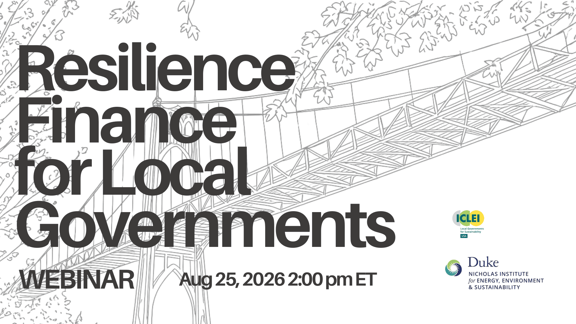 Webinar: Resilience Finance for Local Governments